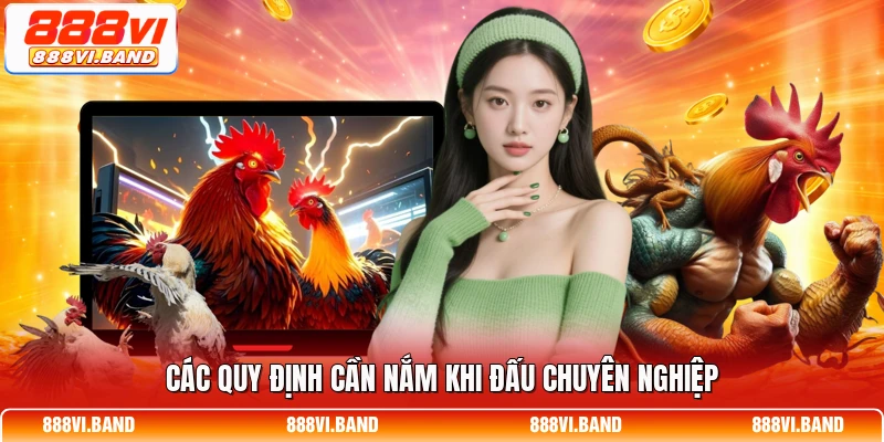 Các quy định cần nắm khi đấu chuyên nghiệp