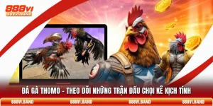 Đá Gà Thomo