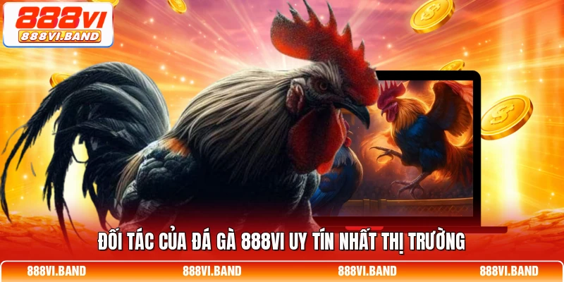 Đối tác của đá gà 888vi uy tín nhất thị trường